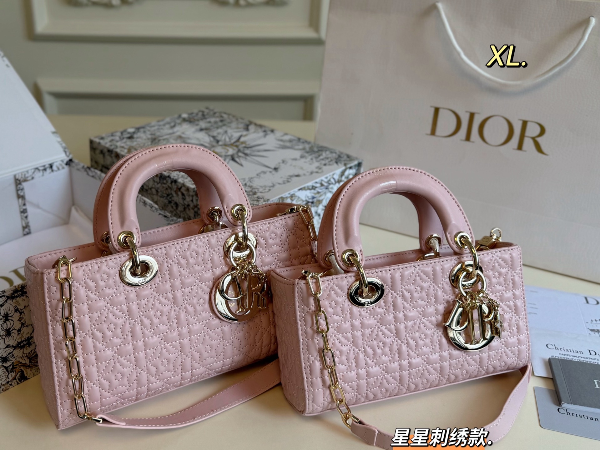 DIOR bag 106